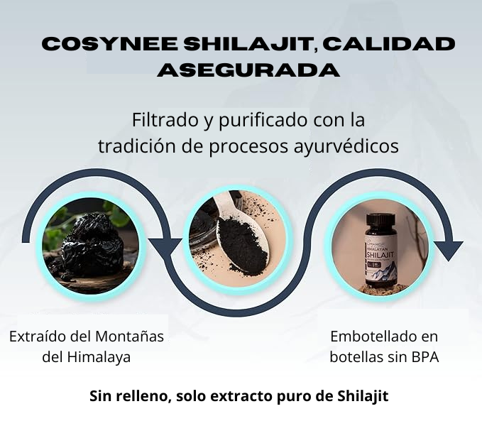 Shilajit en Capsula - Mejora al Instante