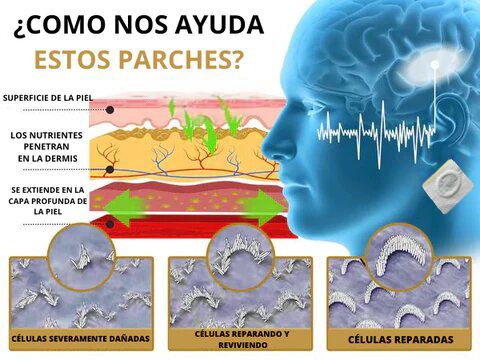 Anti - tinnitus - Parche De Trufa Negra